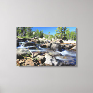 Den amerikanska flodens silver-gaffel, Canvas