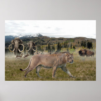 Den amerikanska lejona med Mammoths och Bison, pos Poster