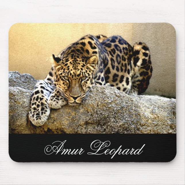 Den Amur leoparden Musmatta (Framsidan)