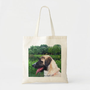 Den Anatolian herden (Kangal) beskådar Tygkasse