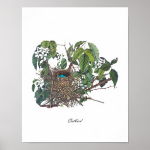 Den antika fågeln bygga bo för hemdekor för shabby poster