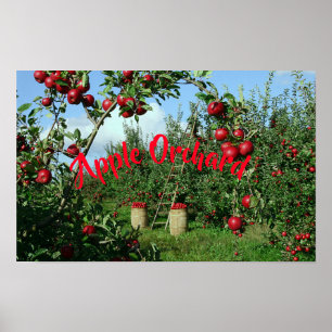 Den Apple fruktträdgården Poster