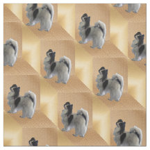 Den ärade Papillon hund på Kuba i Guld