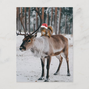 Den ärade Santa Squirrel och Rener Vykort