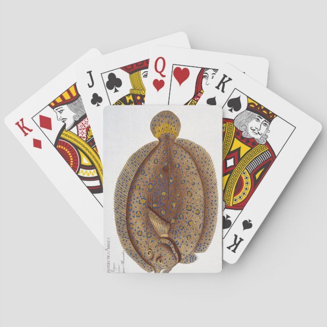 Den Argus flundran (pleuronectesen Argus) pläterar Spelkort (Baksidan)