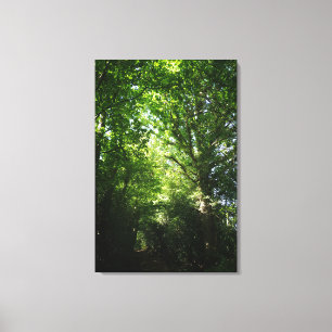 Den Ashdown skogWinnie the Pooh skogsmarken går Canvastryck