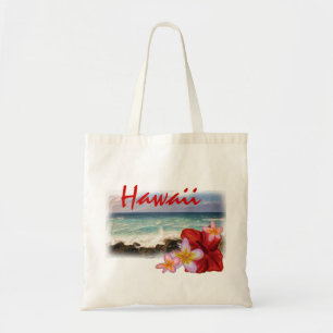 Den återvinningsbara platsen för den Hawaii Tygkasse
