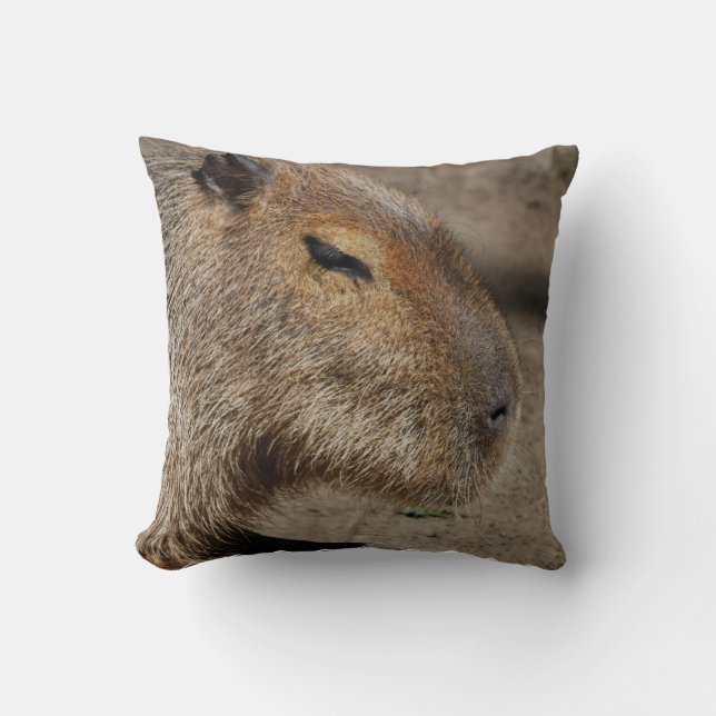 Den australiensiska capybaraen kudder kudde (Framsida)