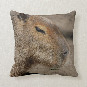 Den australiensiska capybaraen kudder kudde