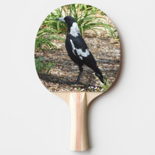 Den australiensiska skatapingen Pong paddlar Pingisracket