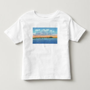 Den avlägsna sjön beskådar av det nytt överbry t shirt