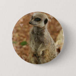 Den babyMeerkat rundan knäppas Knapp