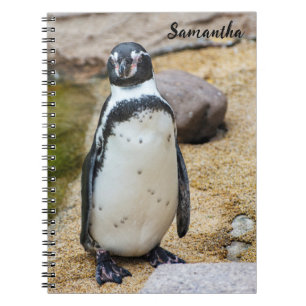 Den bärbara datorn Cute Humboldt Penguin Spiral Anteckningsbok