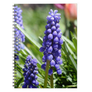 Den bärbara datorn Muscari (Grape Hyacinth) Anteckningsbok