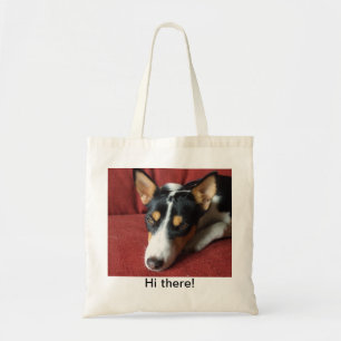 Den Basenji totot hänger lös Tygkasse