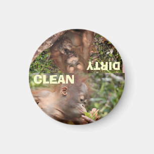 Den bäst rengöringen och smutsar ner disk magnet