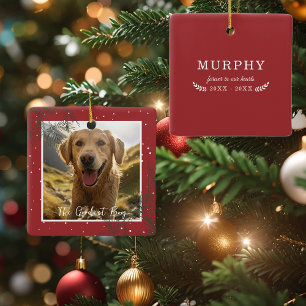 Den Bästa Pojken (Flickan)   Foto Husdjur Minnesmä Julgransprydnad Keramik