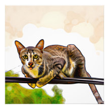 Den bengalkatt