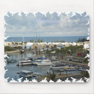 Den Bermuda musen vadderar Musmatta