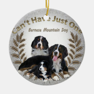 Den Bernese Mt. hunden kan inte ha precis en Julgransprydnad Keramik