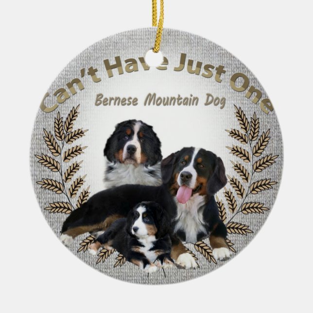 Den Bernese Mt. hunden kan inte ha precis en Julgransprydnad Keramik (Framsidan)