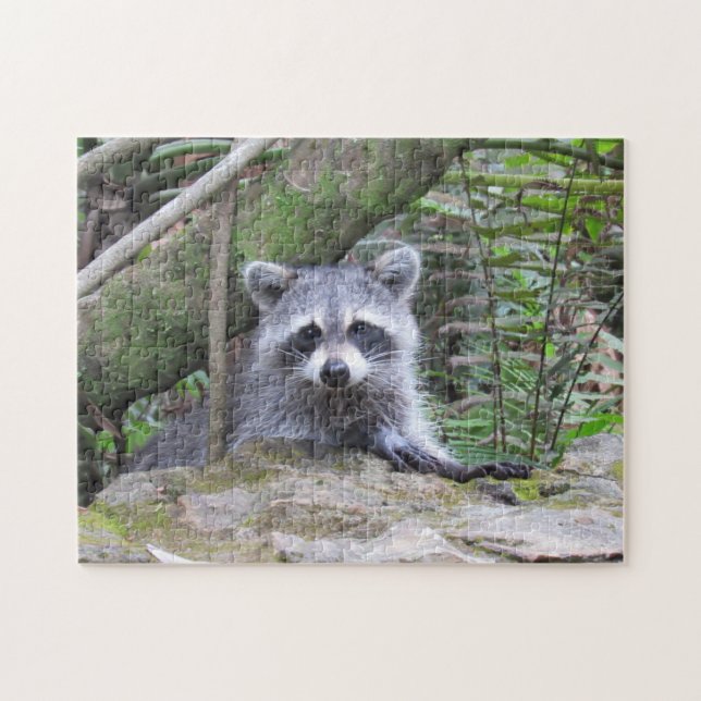 Den berömda Raccoon i Forest Jigszle Puzzle Pussel (Horisontell)