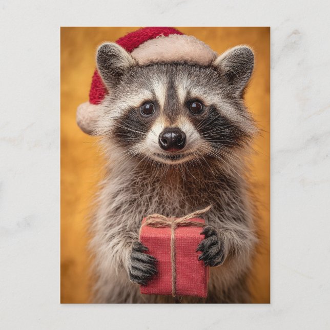 Den berömda Raccoon i Santa Hat Holding en present Vykort (Framsida)