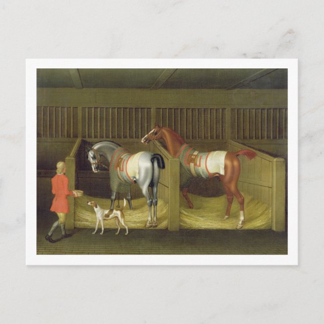 Den berömda rinnande hästar belonginen för stall vykort (Framsida)