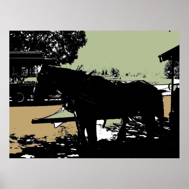 Den berömda rulley Horse of Stanley Park Poster (Framsidan)