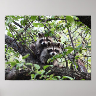 Den berömvärda ungdomspassen i Träd Poster