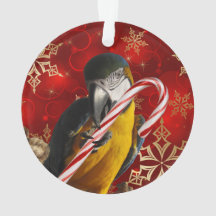 Den beställnings- papegojafotoprydnaden beklär och