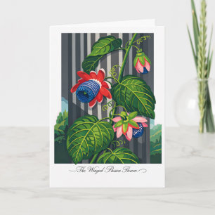 Den bevingade passionsblommans botaniska konst kort