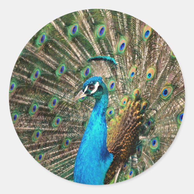 Den blå himlen runt klistermärke (Framsida)