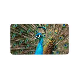 Den blå pjäsen adressetikett