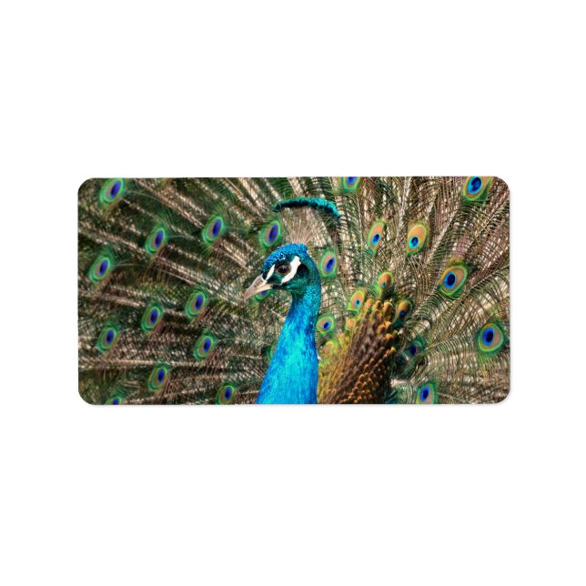 Den blå pjäsen adressetikett (Framsidan)