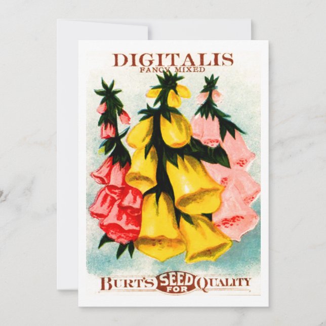 Den blandade Digitalisfoxgloven kärnar ur paketet Inbjudningar (Framsida)