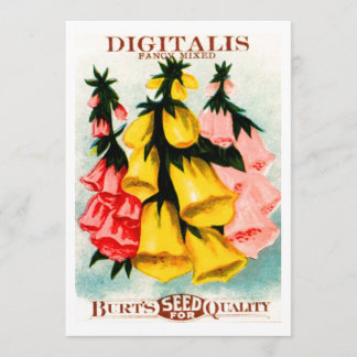 Den blandade Digitalisfoxgloven kärnar ur paketet Inbjudningar