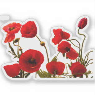 Den blom- röda vallmon blommar färgrik klistermärken