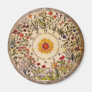 Den Blumenuhr blomman tar tid på magneten Magnet
