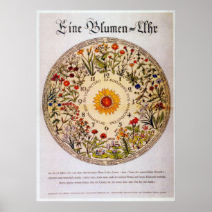 Den Blumenuhr   blomman tar tid på Poster