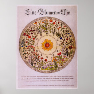 Den Blumenuhr   blomman tar tid på Poster2 Poster