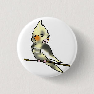 Den blyga cockatielen knäppas knapp