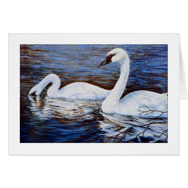 Den blyga svan hälsningskort (Framsidan Horizontal)