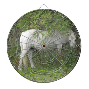 Den blyga vithästpilen stiger ombord darttavla