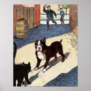Den Boston terrieren möter katten Poster