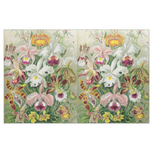 Den Botancal orchiden blommar blom- Haeckel tyg