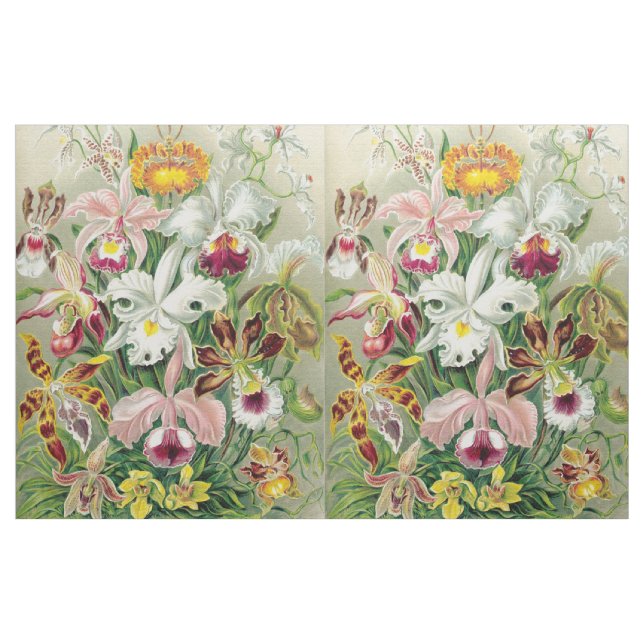 Den Botancal orchiden blommar blom- Haeckel tyg (Yard)