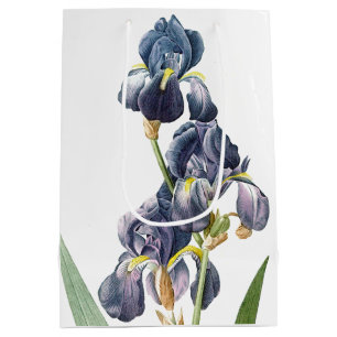 Den botaniska blåttirisen blommar blom- Redoute