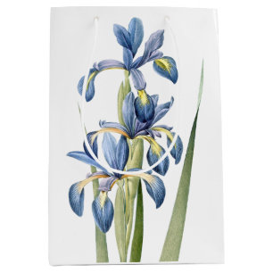 Den botaniska blåttirisen blommar blom- Redoute
