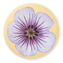 Den botaniska bleken - slösa pelargonblomman på